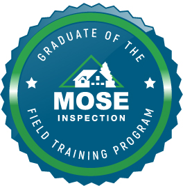 Inspector-Badge-1 Inspector-Badge-1